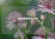 1碗米饭是多少千卡