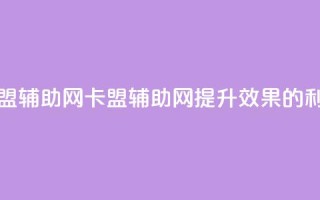 卡盟辅助网(卡盟辅助网：提升SEO效果的利器)