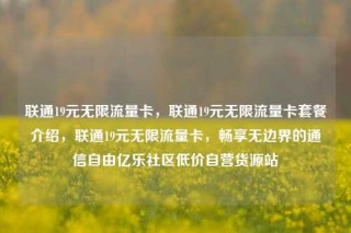 联通19元无限流量卡，联通19元无限流量卡套餐介绍，联通19元无限流量卡，畅享无边界的通信自由亿乐社区低价自营货源站