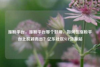 涨粉平台，涨粉平台那个好用，如何在涨粉平台上脱颖而出？亿乐社区SUP货源站
