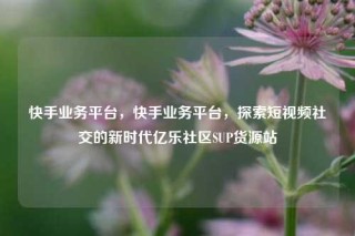 快手业务平台，快手业务平台，探索短视频社交的新时代亿乐社区SUP货源站