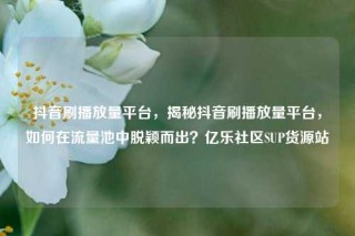 抖音刷播放量平台，揭秘抖音刷播放量平台，如何在流量池中脱颖而出？亿乐社区SUP货源站
