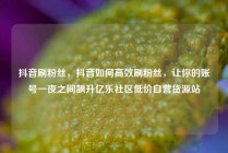 抖音刷粉丝，抖音如何高效刷粉丝，让你的账号一夜之间飙升亿乐社区低价自营货源站