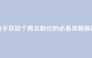 快手获取1000个真实粉丝的必备策略解析