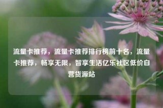 流量卡推荐，流量卡推荐排行榜前十名，流量卡推荐，畅享无限，智享生活亿乐社区低价自营货源站
