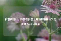 抖音刷粉丝，如何在抖音上高效刷取粉丝？亿乐社区SUP货源站