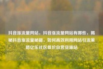 抖音涨流量网站，抖音涨流量网站有哪些，揭秘抖音涨流量秘籍，如何高效利用网站引流策略亿乐社区低价自营货源站