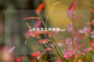 qq会员怎么升级到vip2