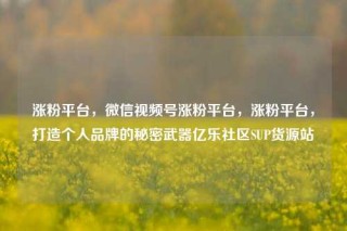 涨粉平台，微信视频号涨粉平台，涨粉平台，打造个人品牌的秘密武器亿乐社区SUP货源站