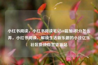 小红书阅读，小红书阅读笔记10篇加5积分怎么弄，小红书阅读，解锁生活新乐趣的小径亿乐社区低价自营货源站