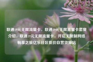联通19元无限流量卡，联通19元无限流量卡套餐介绍，联通19元无限流量卡，开启无限制网络畅享之旅亿乐社区低价自营货源站