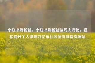 小红书刷粉丝，小红书刷粉丝技巧大揭秘，轻松提升个人影响力亿乐社区低价自营货源站