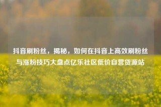 抖音刷粉丝，揭秘，如何在抖音上高效刷粉丝与涨粉技巧大盘点亿乐社区低价自营货源站