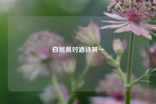 白居易对酒诗其一