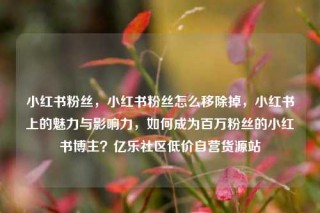 小红书粉丝，小红书粉丝怎么移除掉，小红书上的魅力与影响力，如何成为百万粉丝的小红书博主？亿乐社区低价自营货源站