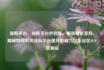 涨粉平台，涨粉平台秒到账，解锁增长密码，揭秘如何利用涨粉平台提升影响力亿乐社区SUP货源站