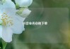 抖音业务自助下单