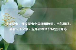 纯流量卡，纯流量卡全国通用流量，当然可以，请看以下文章，亿乐社区低价自营货源站