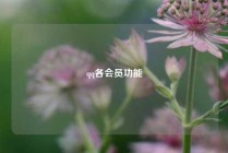 qq各会员功能