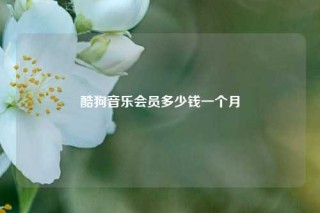 酷狗音乐会员多少钱一个月