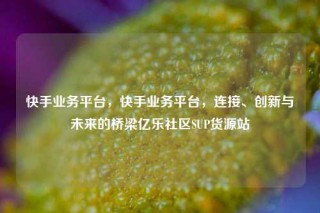 快手业务平台，快手业务平台，连接、创新与未来的桥梁亿乐社区SUP货源站