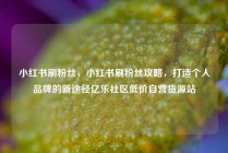 小红书刷粉丝，小红书刷粉丝攻略，打造个人品牌的新途径亿乐社区低价自营货源站