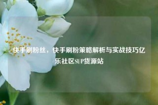 快手刷粉丝，快手刷粉策略解析与实战技巧亿乐社区SUP货源站