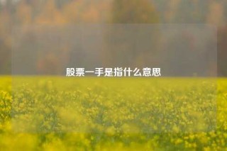股票一手是指什么意思