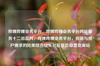 哔哩哔哩业务平台，哔哩哔哩业务平台网站服务十二出品网，哔哩哔哩业务平台，创新与用户需求的完美结合亿乐社区低价自营货源站