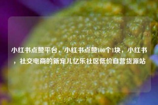 小红书点赞平台，小红书点赞100个1块，小红书，社交电商的新宠儿亿乐社区低价自营货源站