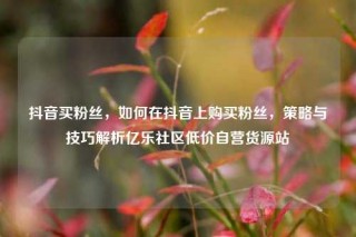 抖音买粉丝，如何在抖音上购买粉丝，策略与技巧解析亿乐社区低价自营货源站