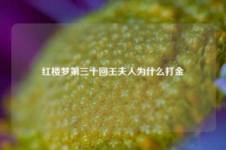 红楼梦第三十回王夫人为什么打金