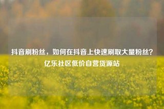 抖音刷粉丝，如何在抖音上快速刷取大量粉丝？亿乐社区低价自营货源站