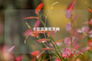 卡密货源批发网