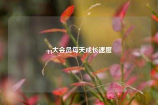 qq大会员每天成长速度