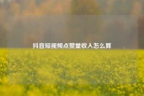 抖音短视频点赞量收入怎么算