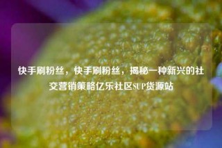 快手刷粉丝，快手刷粉丝，揭秘一种新兴的社交营销策略亿乐社区SUP货源站