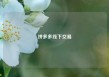 拼多多线下交易