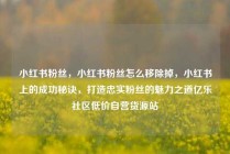 小红书粉丝，小红书粉丝怎么移除掉，小红书上的成功秘诀，打造忠实粉丝的魅力之道亿乐社区低价自营货源站