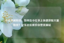 小红书刷粉丝，如何在小红书上快速获取大量粉丝？亿乐社区低价自营货源站