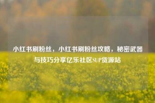 小红书刷粉丝，小红书刷粉丝攻略，秘密武器与技巧分享亿乐社区SUP货源站
