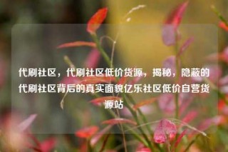 代刷社区，代刷社区低价货源，揭秘，隐蔽的代刷社区背后的真实面貌亿乐社区低价自营货源站