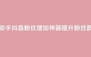 抖音粉丝增加助手(抖音粉丝增加神器：提升粉丝数量的最佳助手)