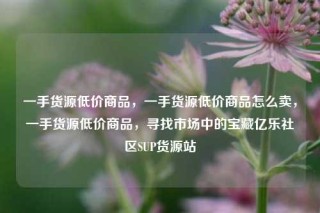 一手货源低价商品，一手货源低价商品怎么卖，一手货源低价商品，寻找市场中的宝藏亿乐社区SUP货源站