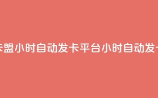 游戏卡盟24小时自动发卡平台(24小时自动发卡平台-游戏卡盟专属)