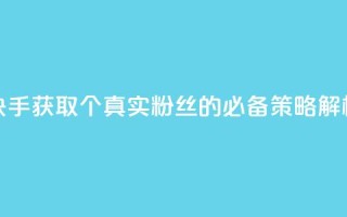 快手获取1000个真实粉丝的必备策略解析