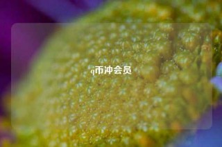 q币冲会员