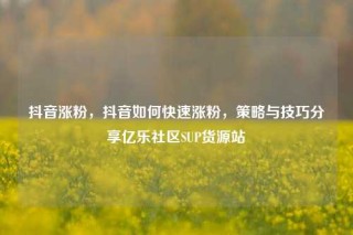抖音涨粉，抖音如何快速涨粉，策略与技巧分享亿乐社区SUP货源站