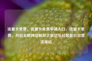 流量卡免费,流量卡免费申请入口,流量卡免费,开启无限网络畅游之旅亿乐社区低价自营货源站