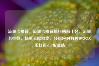 流量卡推荐，流量卡推荐排行榜前十名，流量卡推荐，畅享无限网络，轻松应对各种需求亿乐社区SUP货源站
